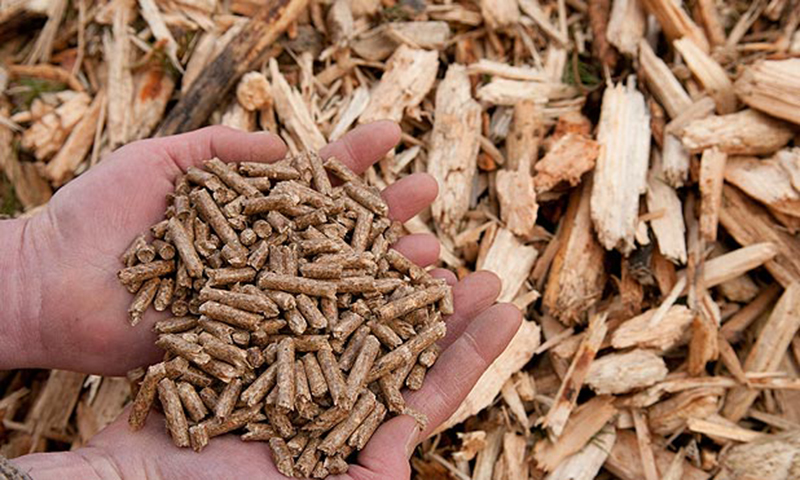 顆粒機(jī)出料